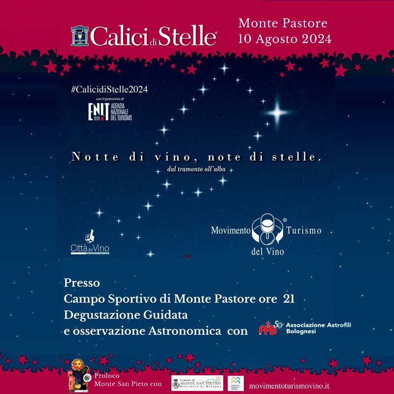 calici-di-stelle