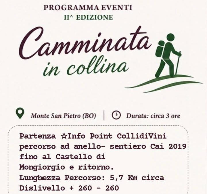 COLLI DIVINI Camminata in collina