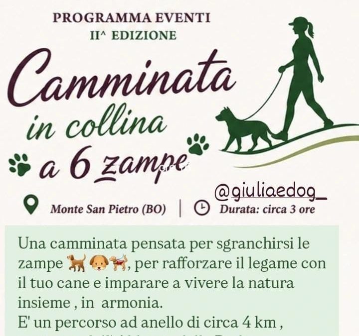 Colli Divini sabato  Camminata a 6 zampe